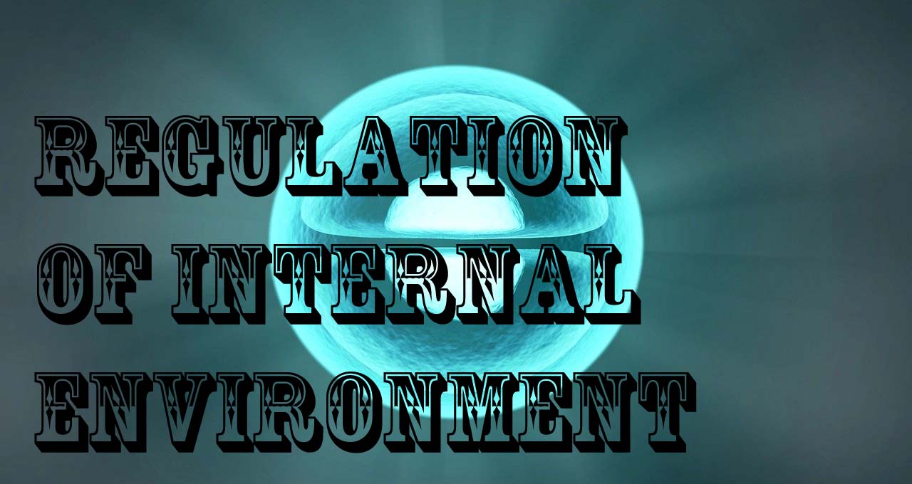 REGULATION OF INTERNAL ENVIRONMENT