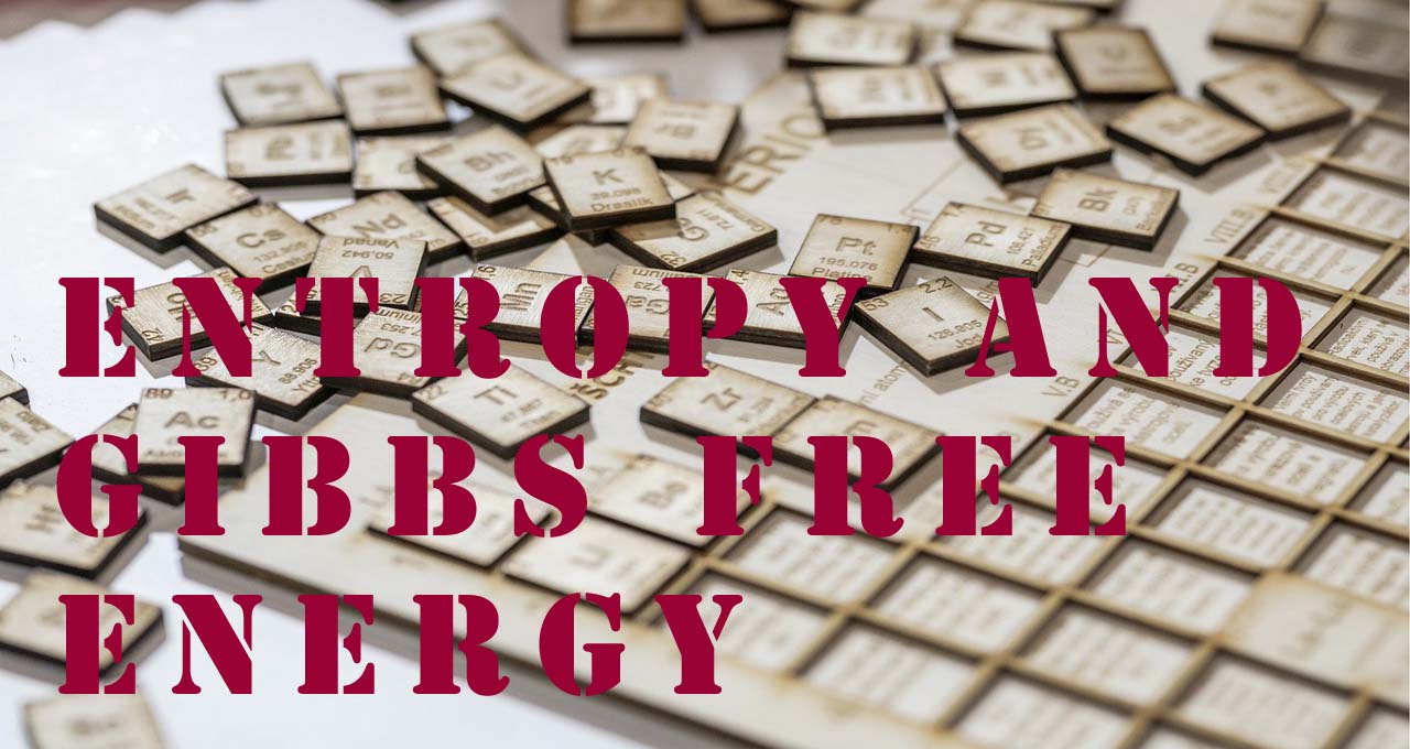 Entropy and Gibbs Free energy